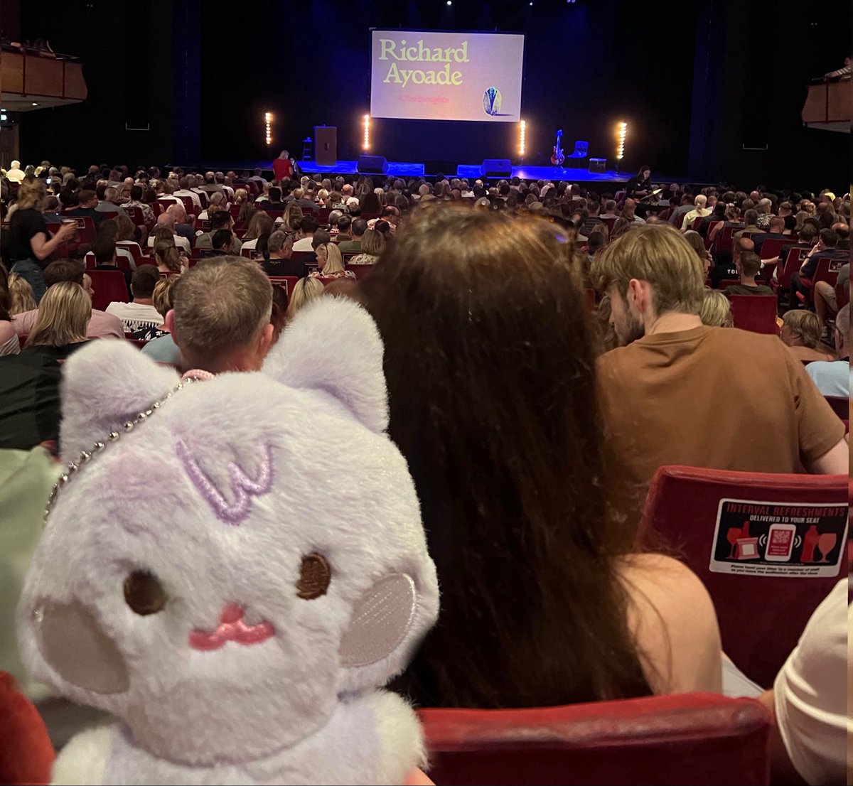 fullandromeda's tweet photo. took san to see richard ayoade https://t.co/9x7B9LnWXT