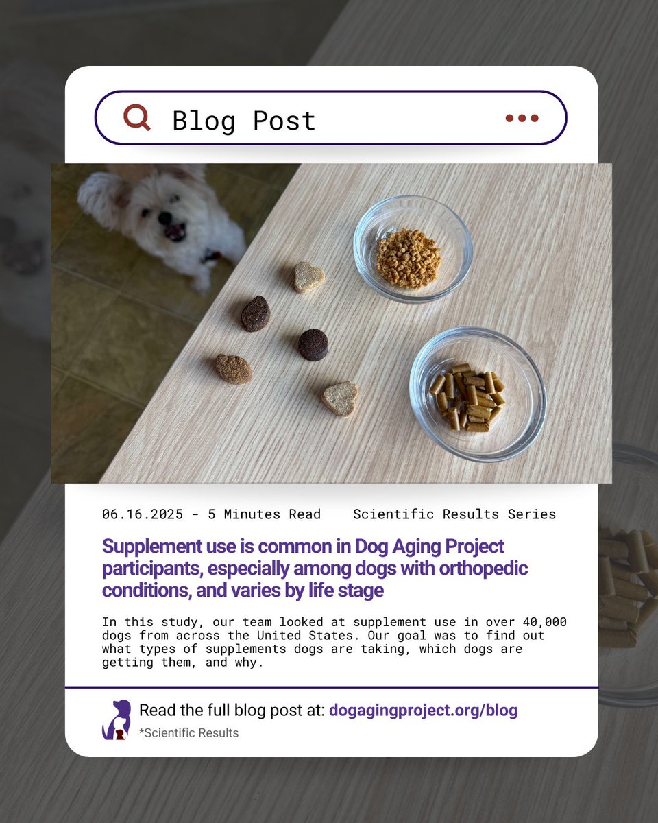 Dog Aging Project tweet media
