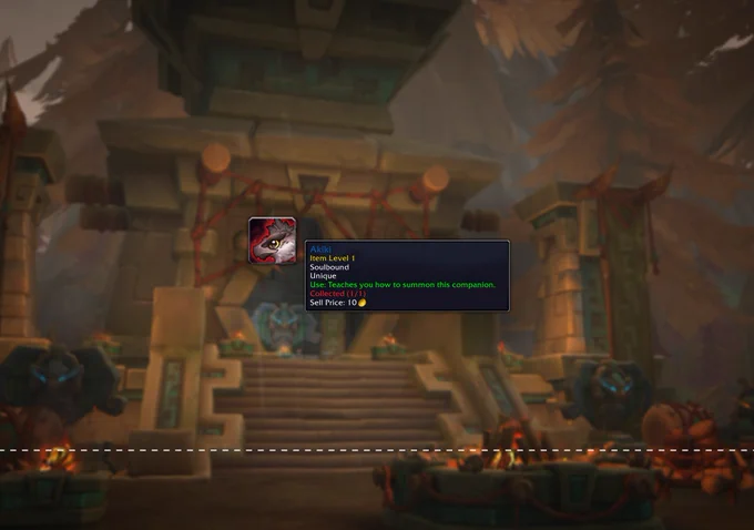 The in-game icon for Akiki and its accompanying tooltip which reads “AKIKI, ITEM LEVEL 1, SOULBOUND, UNIQUE, USE: TEACHES YOU TO SUMMON THE COMPANION, COLLECTED (1/1), SELL PRICE 10 GOLD”. The dashed line continues along the bottom and the background features a slightly blurry troll temple interior. 