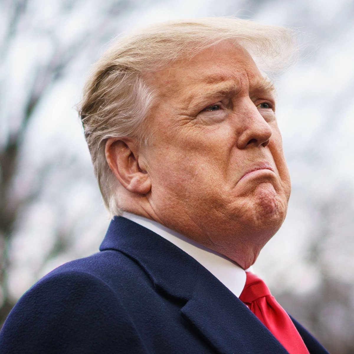 sboficial's tweet photo. TIME sobre Taylor Swift eclipsar a celebração dos 250 anos dos EUA promovida por Trump no 4 de julho:

“No fim de semana em que os EUA completaram 250 anos, dois espetáculos disputaram a alma da nação e apenas um deles pareceu uma verdadeira celebração [o casamento de Swift].” https://t.co/pS5Ec9gl7C