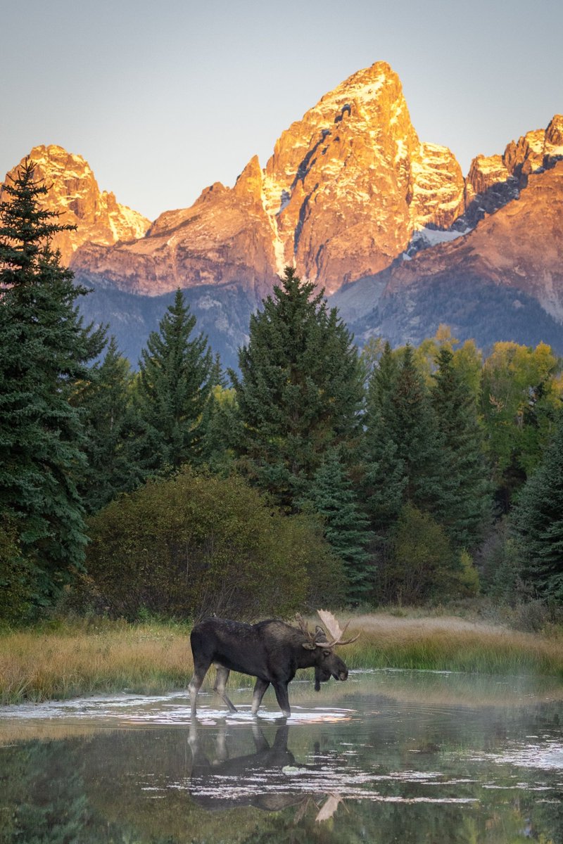 ACC_National's tweet photo. You've inherited the greatest land on earth.  

Protect it. https://t.co/VPY9H8AU97