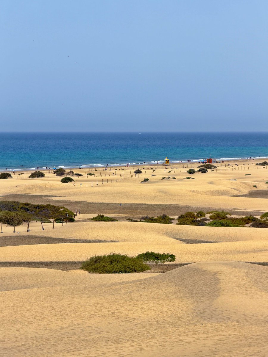 mycanaryislands's tweet photo. Dunas de Maspalomas hoy.
#dunas #beach #playa #maspalomas #grancanaria #canarias #spain  #fblifestyle #fblifestylechallenge https://t.co/NHwfYxGTXA