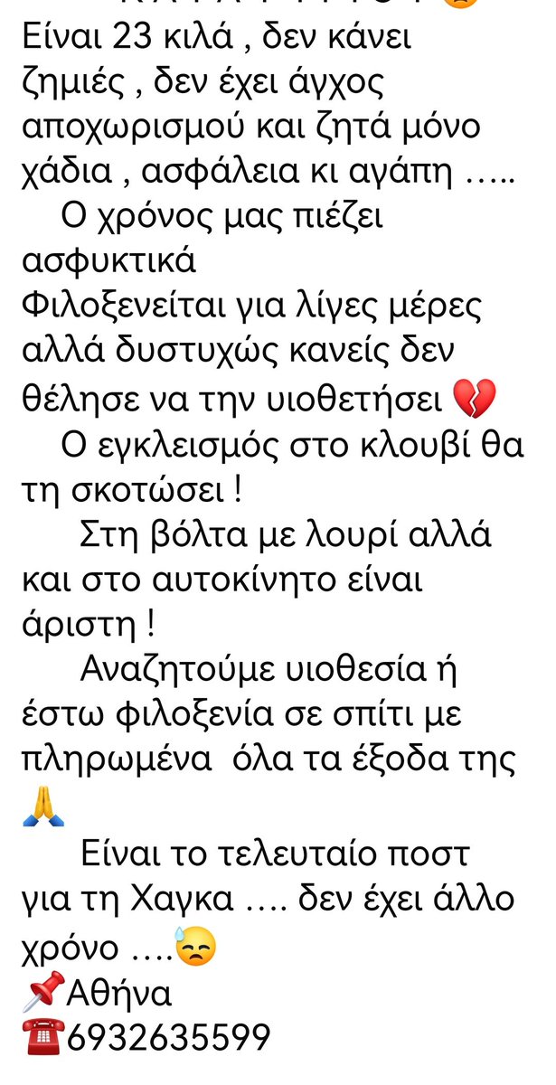 Christinalirou2's tweet photo. ‼️🆘‼️🆘‼️🆘‼️🆘‼️🆘‼️🆘‼️🆘‼️
Αθήνα. Πέθανε ο κηδεμόνας της κ έμεινε μόνη. Οι εθελοντές κάνουν έκκληση για Υιοθεσια κρίμα το ζωάκι που είναι μαθημενο σε σπίτι να κλειστεί σε κλουβί καταφυγιου. Κοινοποιούμε παιδιά μήπως βρεθεί οικογένεια που θα το αγκαλιάσει. 🏡🐕✌️❤️ https://t.co/kOLpfN693L