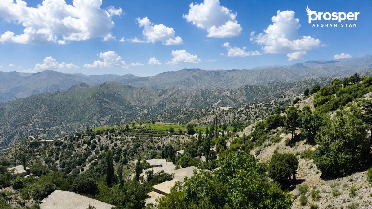 Prosper Afghanistan tweet media