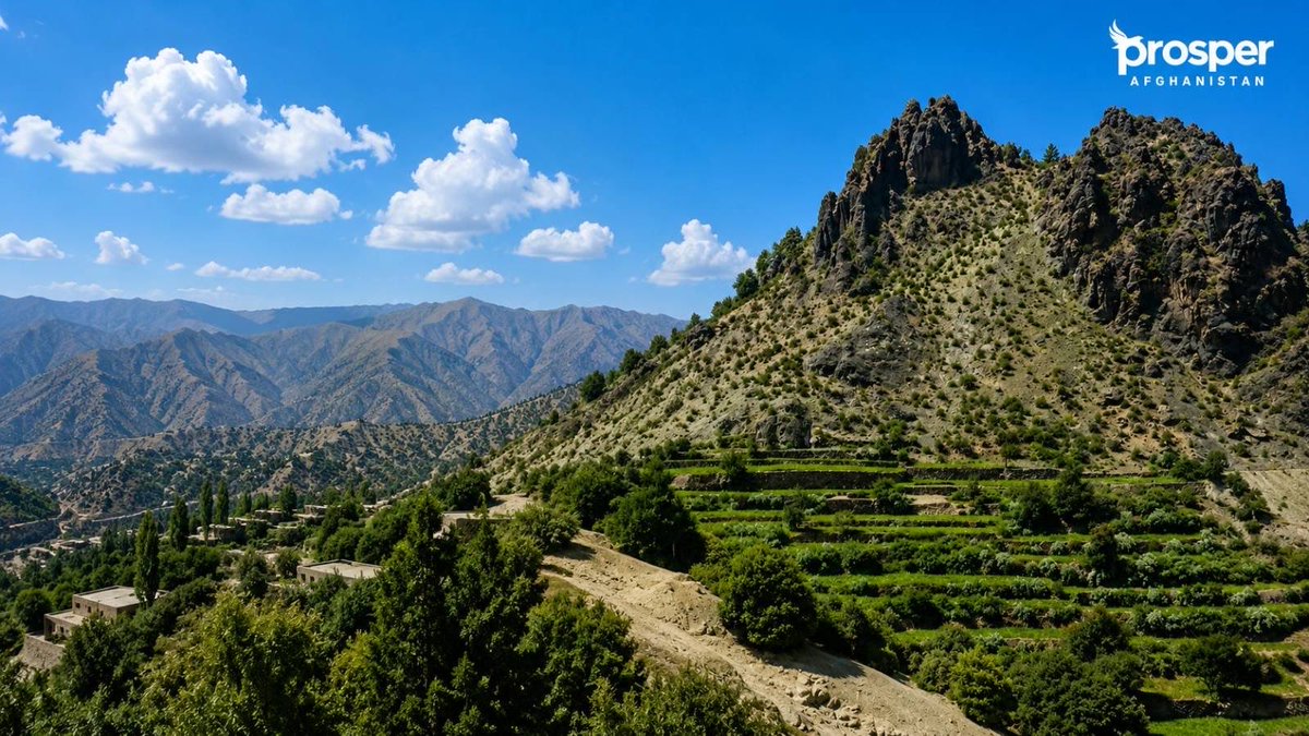 Prosper Afghanistan tweet media