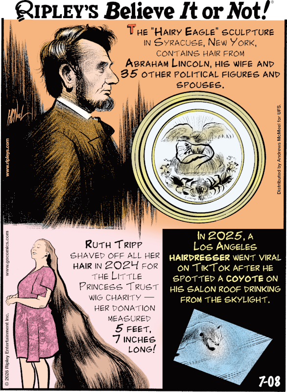 Ripleys's tweet photo. The “Hairy Eagle” sculpture in Syracuse, New York, contains hair from Abraham Lincoln, his wife, and 35 other political figures and spouses. 🦅

Catch our daily cartoon here.👇 https://t.co/voNfzz1Gi4 https://t.co/IKz8HsLWrj