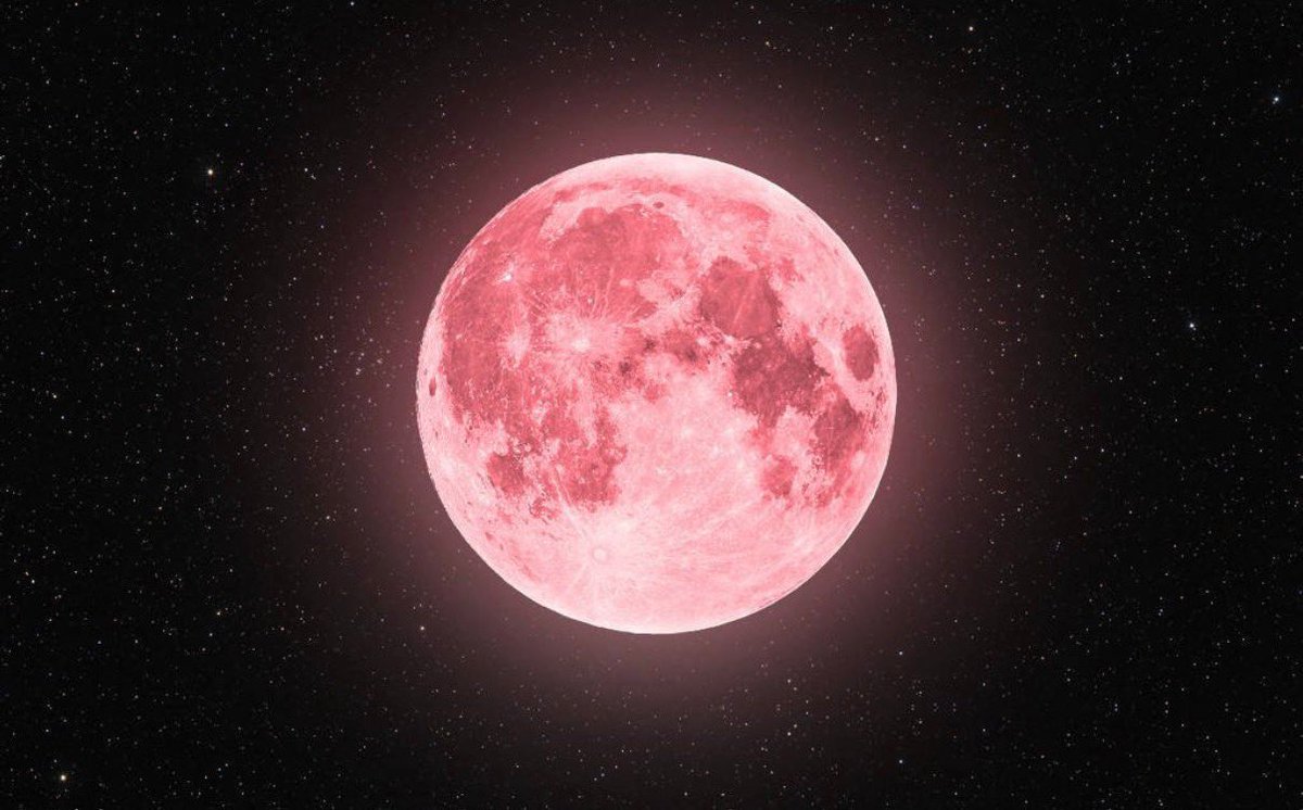 lilyavibe tweet picture