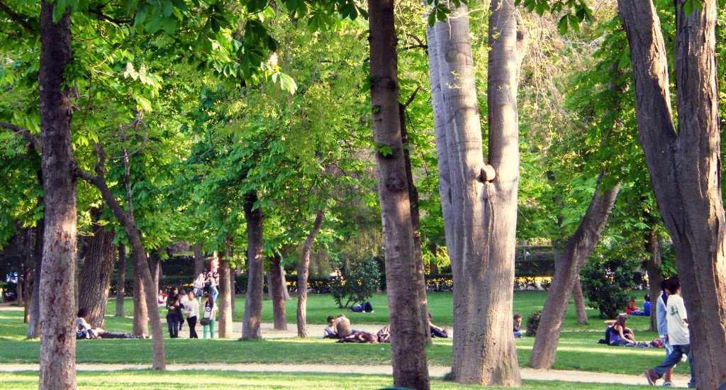 pkas1111's tweet photo. En una ola de calor, una ciudad puede tener dos temperaturas muy distintas: más de 60 °C sobre el asfalto al sol y cerca de 30 °C bajo la sombra de un gran árbol

🌳🌳🌳La diferencia entre sufrir el calor y soportarlo, está en un buen árbol https://t.co/0oijo0eLC7