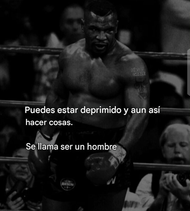 El Señor De La Noche tweet media