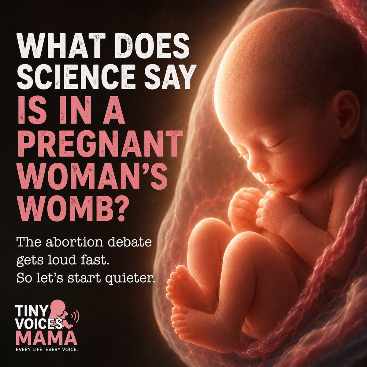 TinyVoicesMAMA's tweet photo. The abortion debate usually starts with politics.

Maybe it should start with a simpler question:

What is actually growing inside the womb?

Not slogans.
Not spin.
Just science.
#ProLife #HumanRights #ScienceMatters #FamilyValues #MakeAbortionMurderAgain https://t.co/d9WPeJeQwk