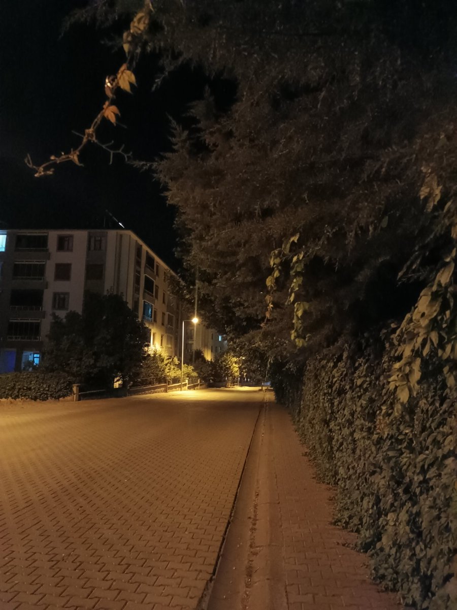 semarayim's tweet photo. Sevgilim hayat https://t.co/kxmMRQy9rV