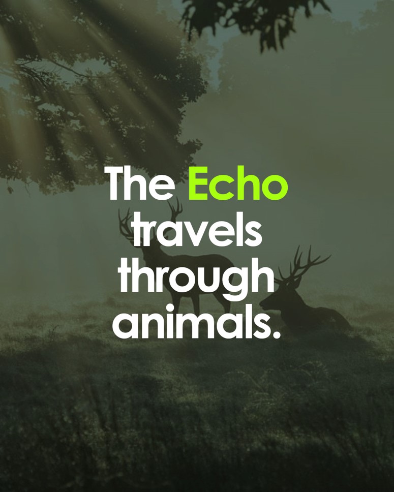 PeterLynch85302's tweet photo. Eagles, dolphins, wolves, elephants, in the book, each creature carries part of the Earth’s healing message.

Animals feel more, know more, and teach more than we often realize.

Share this to honor our animal kin.

#TreeMagic #NatureArt #ArtAndSpirit #PoeticVisuals #BooksOnNature #Nature #Mindfulreading #Reading #Author