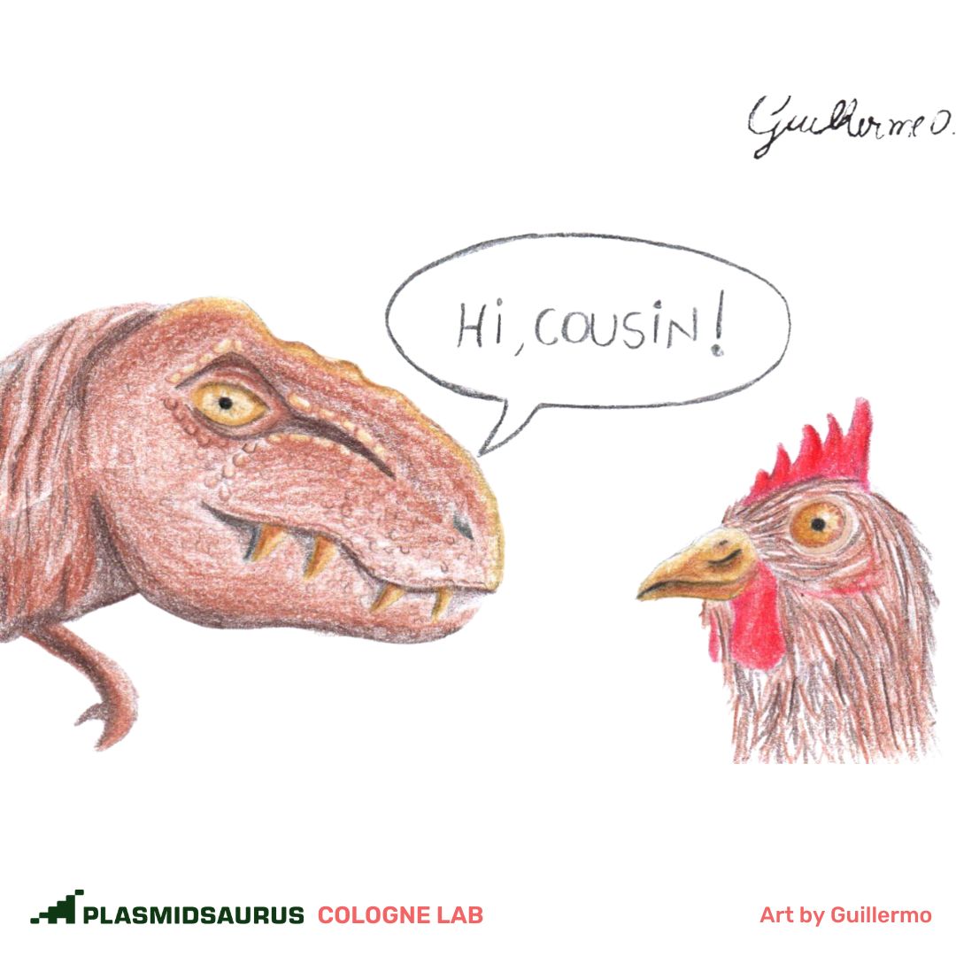 plasmidsaurus tweet media