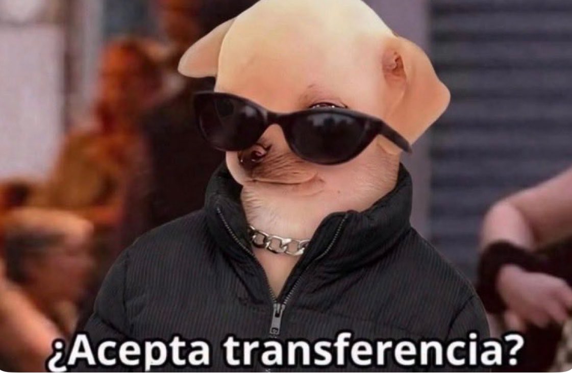 ElPanditaRojo_'s tweet photo. "Voy a salir sin efectivo así no gasto"
- Yo en la primera tienda que veo: https://t.co/Nr30LmqIQ7