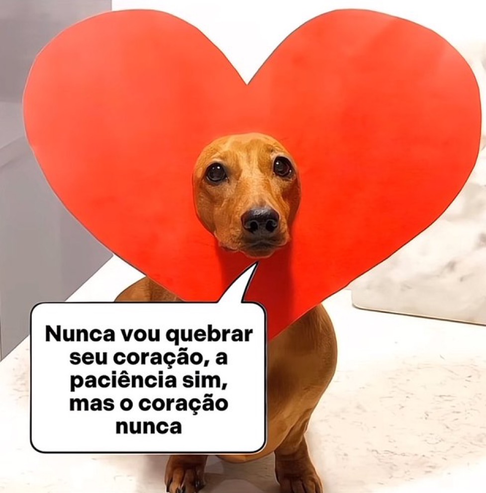 relacionemos's tweet photo. https://t.co/zouUem9mI0