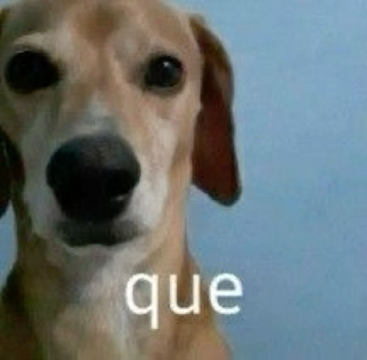 agatthv's tweet photo. gente que briga é essa? quê que tá acontecendo?????? https://t.co/PQBQIPq9bU