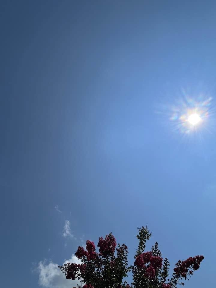 Mysongshari's tweet photo. #anddidisay #hot #85degrees #feelslike105degreesinsun #wellnottherealsun:) #thehighbeammagnifyingLEDsunLamp:) #wherearemyenhancers:) 
#iamnotgoodatthat https://t.co/94OGVbLzJY
