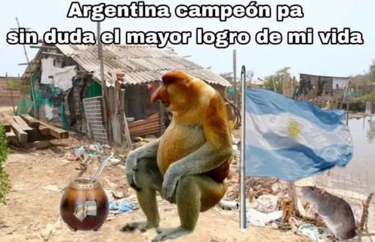 Froul tweet media