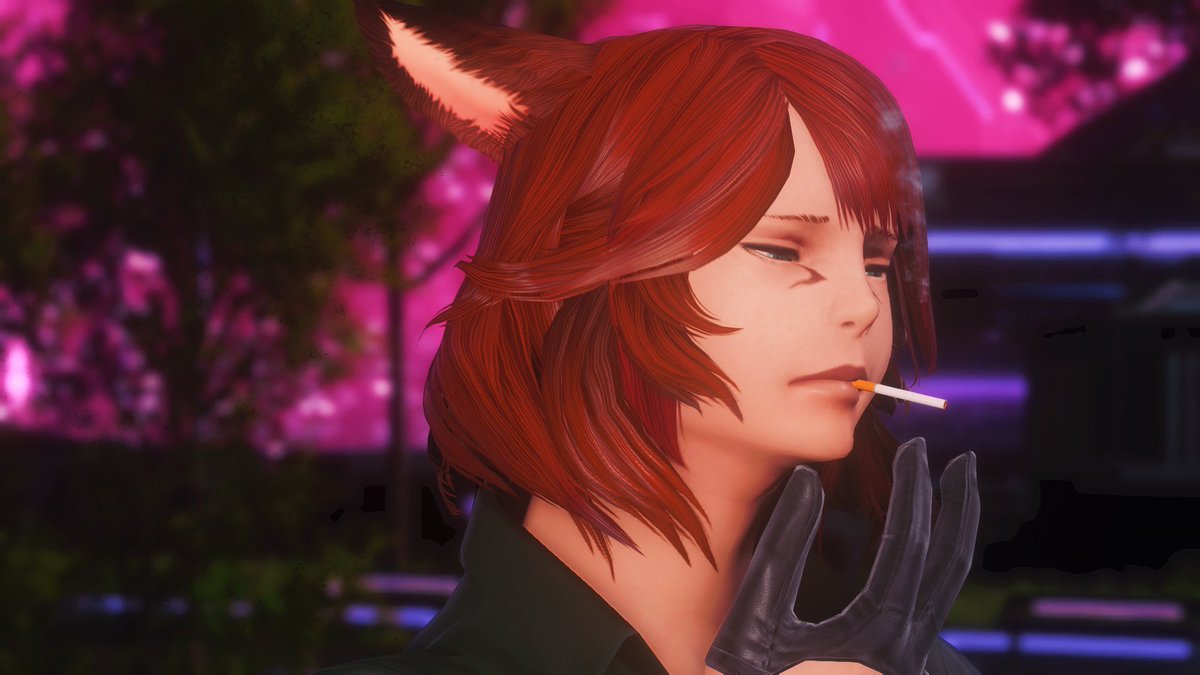 Ledail_catboy's tweet photo. A fag

#GPOSERS #EorzeaPhotos #Miqote https://t.co/AkwbpKcRnz