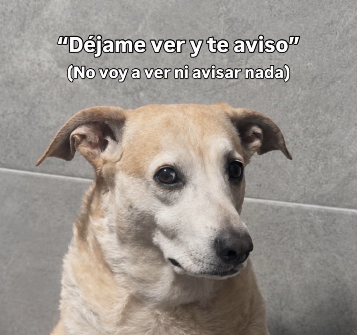 FraseSimple's tweet photo. https://t.co/EQxjSkUyxW