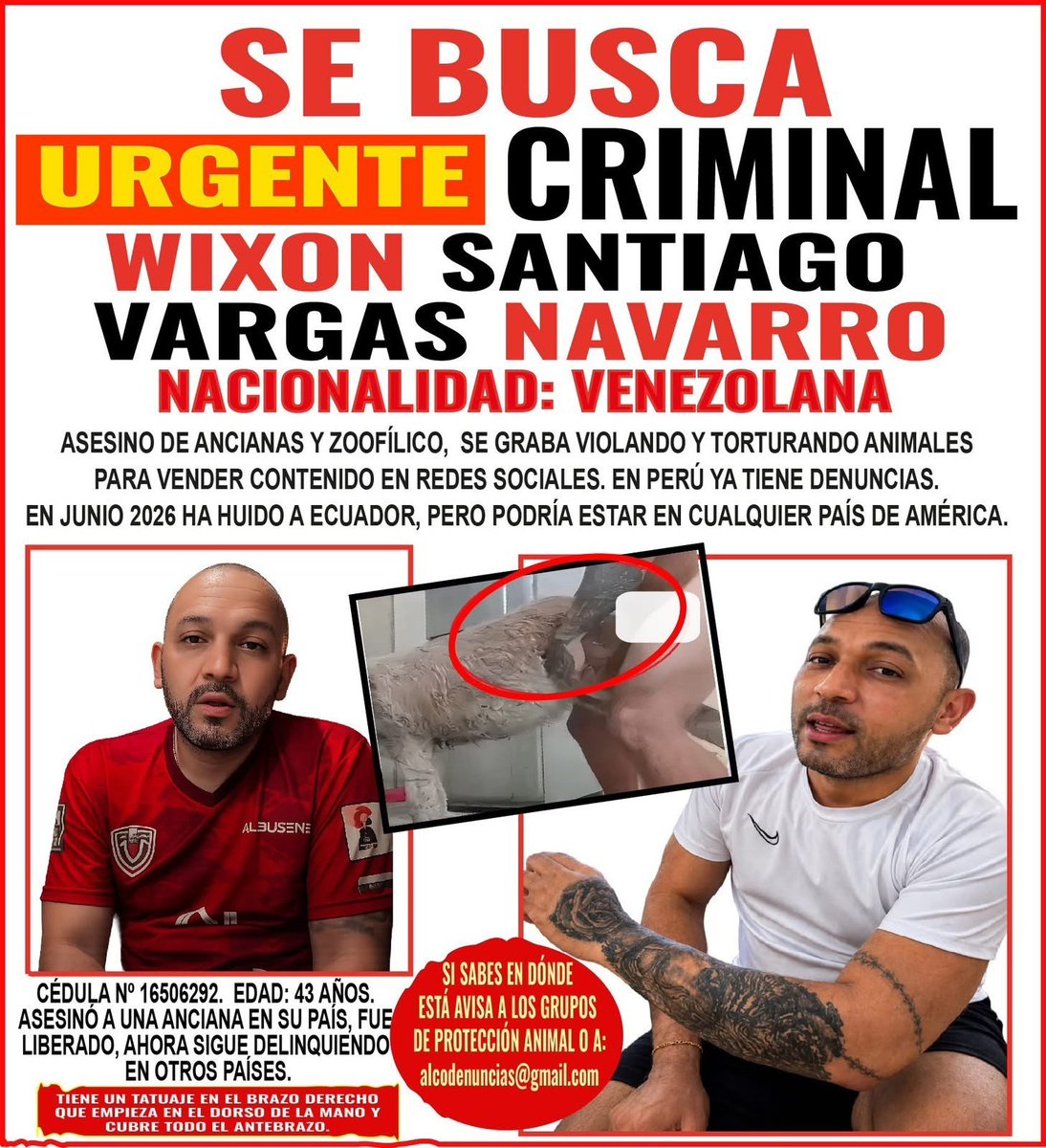 DefensoresAn's tweet photo. ATENCIÓN #Ecuador URGENTE Hay que localizar a este degenerado. El afiche de búsqueda y alerta llega desde el exterior   Señores @MinInteriorEc @PoliciaEcuador @JohnReimberg @Presidencia_Ec @MinGobiernoEc @MinLoffredoEc @EcuavisaInforma @tctelevision @RTSEcuador @eluniversocom https://t.co/aR012YJD68