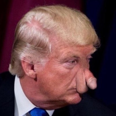 don_desastre's tweet photo. @nicksortor Dumm wie dein Präsident. https://t.co/kaYQ2hGjfe
