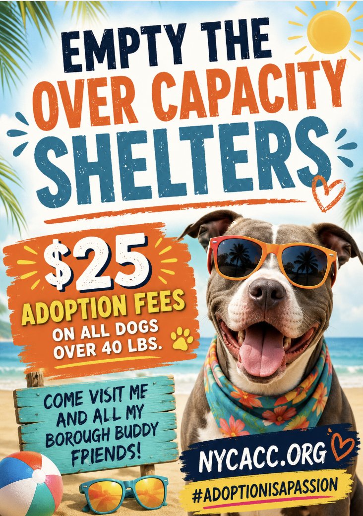 BeeDoDoobieDo's tweet photo. 🏖️🍉Absolutely charming....this is ABIGAIL😎☀️
🙁Shy baby girl has been there for #23Days
💥Needs a real home STAT ~ she is residing in a pop up crate and qualifies for the promotion!💥
Visit her in Manhattan ~ #SaveAShelterDog https://t.co/rymkocw8iC 😍Spaniel mix? Cute=Y