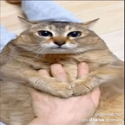 imscaredaaaaaimscaredddd☭ tweet media
