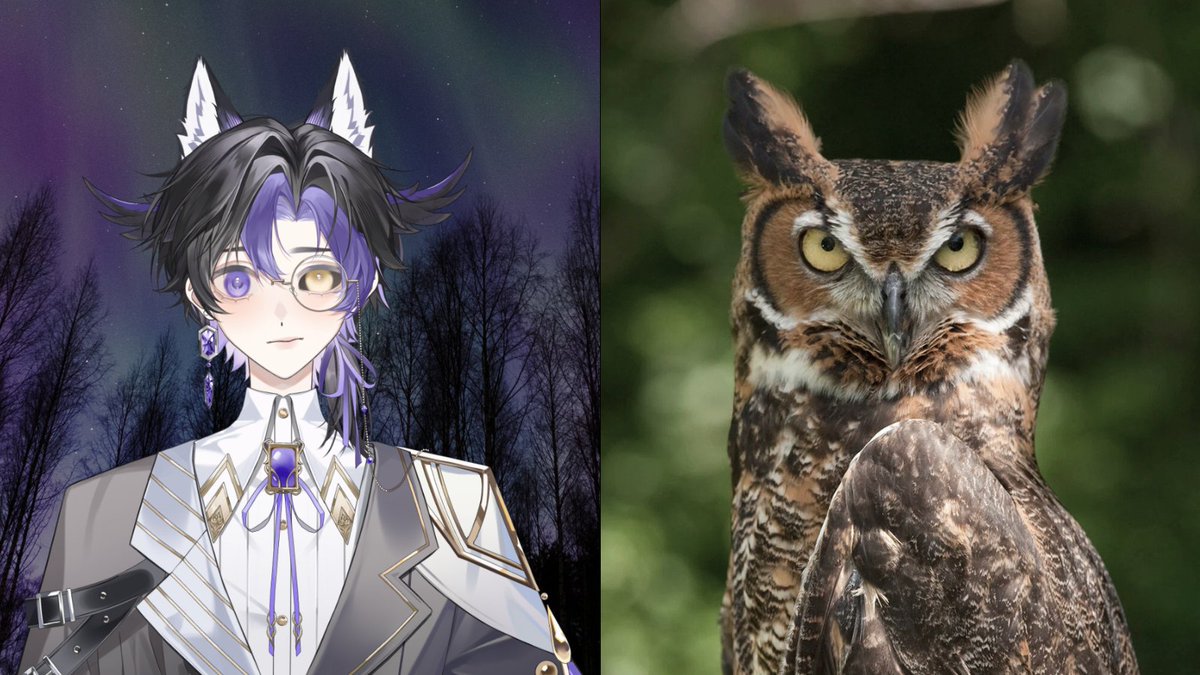 professorlumio's tweet photo. VTuber vs Species ⟡˙⋆
I'm a night owl!  🌃🦉
Don't ask why I have ears. 🙂 https://t.co/dY43XTDiOH