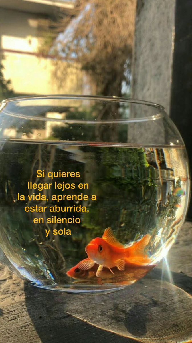 FraseSimple's tweet photo. https://t.co/vJvkqFdAif