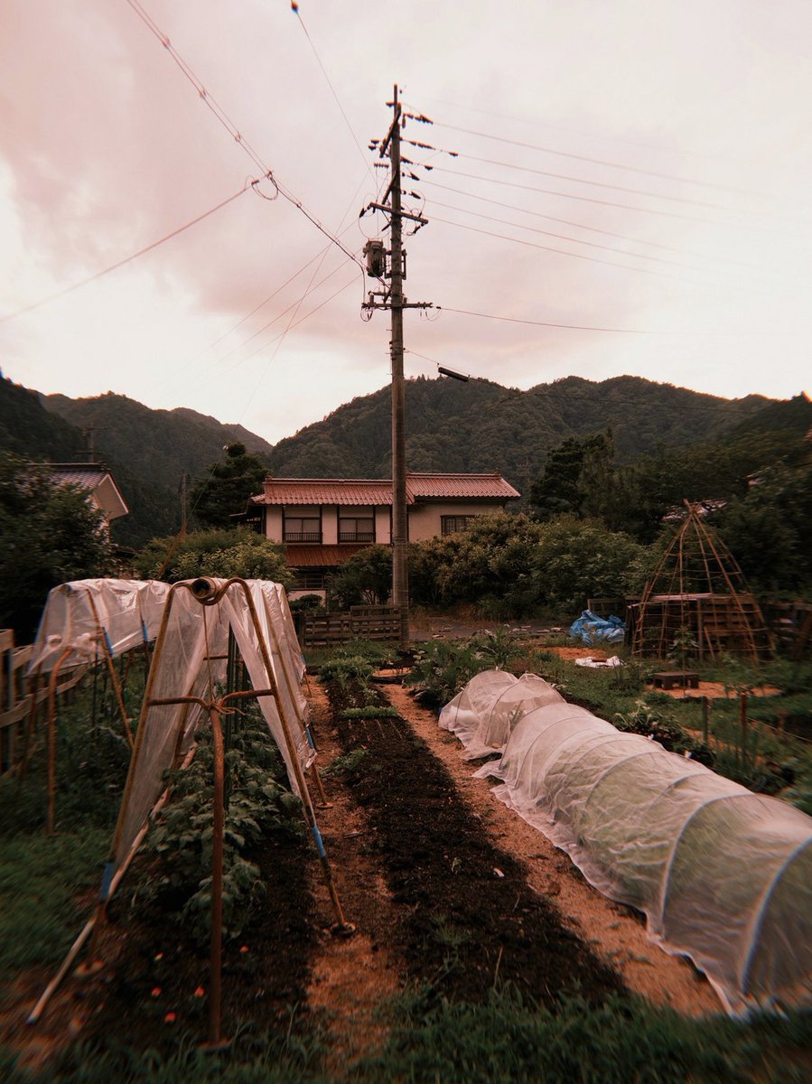 RahulJuneja21's tweet photo. ほくとさんはなんであの例のリムレスじゃなぃのぉ？リング付いてるやつ…🥺あと衣装さっきもそれでしたか？𐤔 𐤔 https://t.co/qdU8AF7XkB