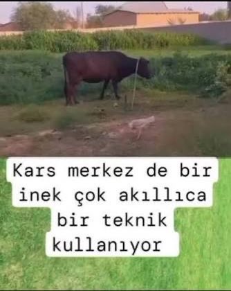 qdochudson's tweet photo. @Fenerbahce https://t.co/fO1ujfweAP