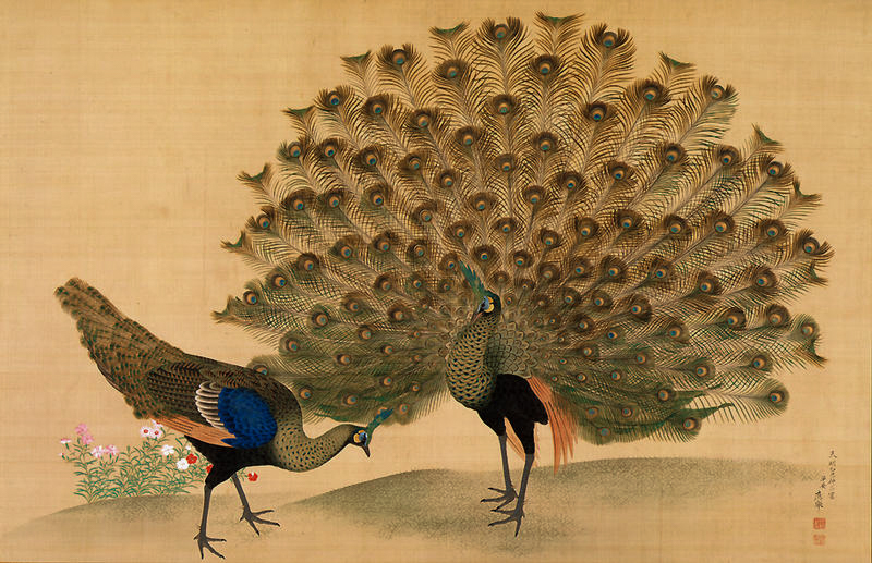 JapanTraCul's tweet photo. Peacock and Peahen, by Maruyama Okyo, 1781 https://t.co/Sje3Dh086b