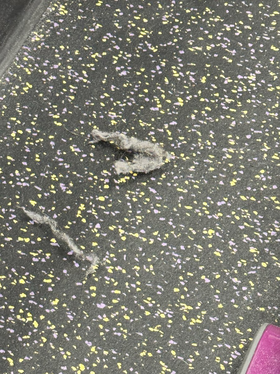 _vcasas_'s tweet photo. @PlanetFitness vale que paguemos una cuota de 15€ al mes, pero no es de recibo que el gimnasio de Parquesur esté así, lleno de suciedad en la sala y en los vestuarios. 
La verdad que da un poco de reparo dejar cualquier cosa apoyada en el suelo, porque te la llevas fina 😰😰 https://t.co/kgqXCFdmNQ
