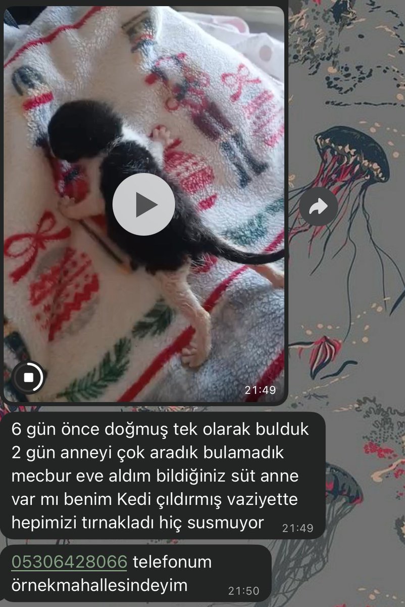 radyoaktif_kedi's tweet photo. SÜT ANNE ARANIYOR

İSTANBUL ATAŞEHİR ÖRNEK MAH. 

PAYLAŞIR MISINIZ? https://t.co/OhFtCaoaRz
