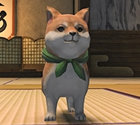 FFXIVXD's tweet photo. The soft-spoken auspice, Inugami, is 1450 years old. He was once feared by the people of Othard as a god of indiscriminate vengeance and divine retribution. When asked, he says that the men he slaughtered were deserving of death for crimes against nature https://t.co/yT7gOzoMKY