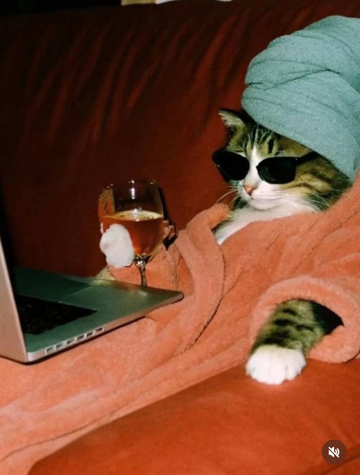 TheRabbitPy's tweet photo. @Whotfismick Me on twitter while none of my friends are here https://t.co/DJCZiTqTK3