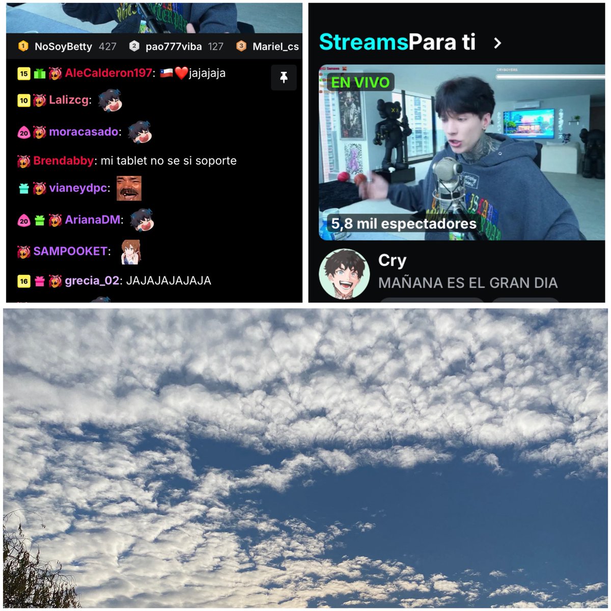 AleCalderon197's tweet photo. 🇨🇱❤️Hola Cryboyer vamos todas a ver a @xCryboy ya está en vivo en Kick;me tocó verlo dede el celular y el día esta nublado en Stgo de 🇨🇱y mucho frío 🥶 😂🤭✨✨🫂🖤👽
#En10StreamConCry https://t.co/62Ym5OCscc