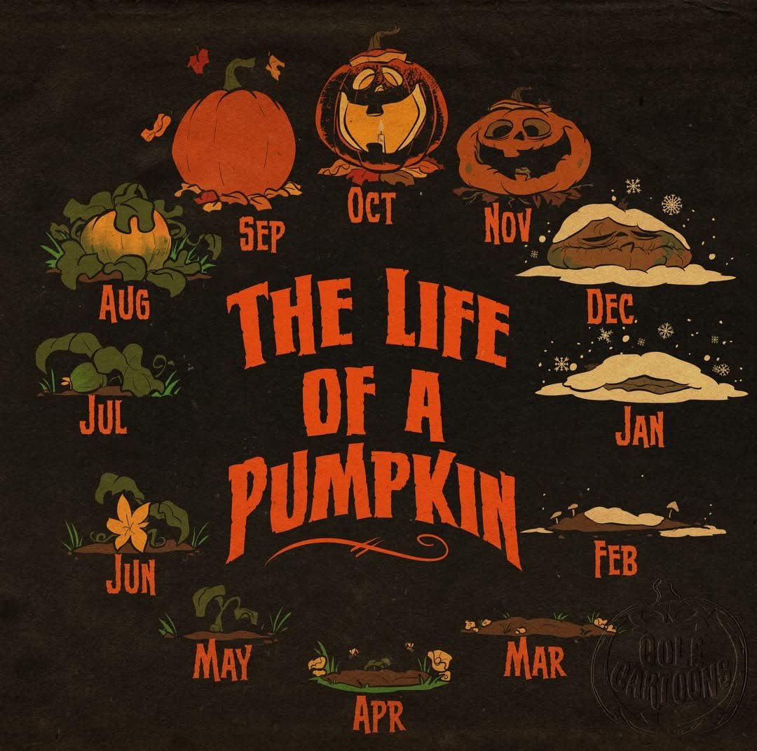 thespookygirll's tweet photo. 🎃 https://t.co/xvT5VcvTpz
