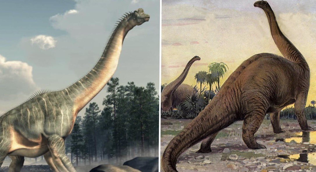 jurassic_Jess91's tweet photo. Which dinosaur species was similar to our modern day giraffe the Brachiosaurus or brontosaurus? https://t.co/ExVuCT2Rb0