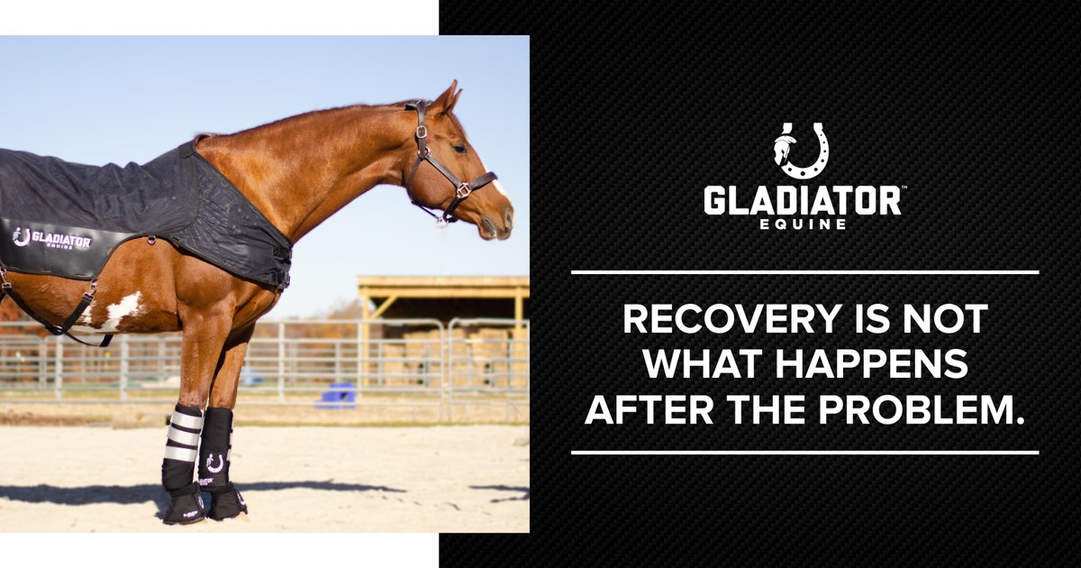 EquineGladiator's tweet photo. Recovery is not just what happens after a problem. It helps prevent one.

The horses that hold up best often have intentional recovery routines before anything goes wrong.

PTR™ products are built for daily use with no complicated setup.

Save this. Start the routine. https://t.co/Ne8kJVRtnS
