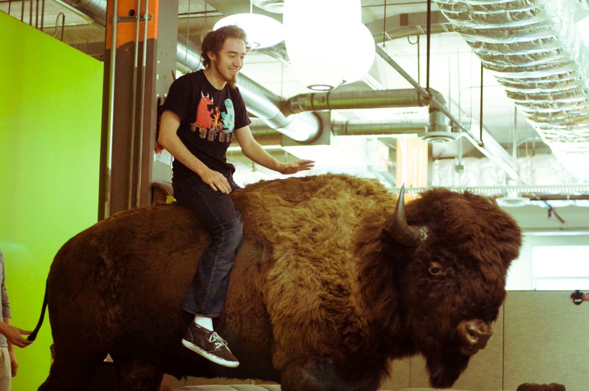 forever_gf618's tweet photo. Alex Hirsch bought a buffalo (bison) off eBay and drew this... https://t.co/lrDIEASqb7