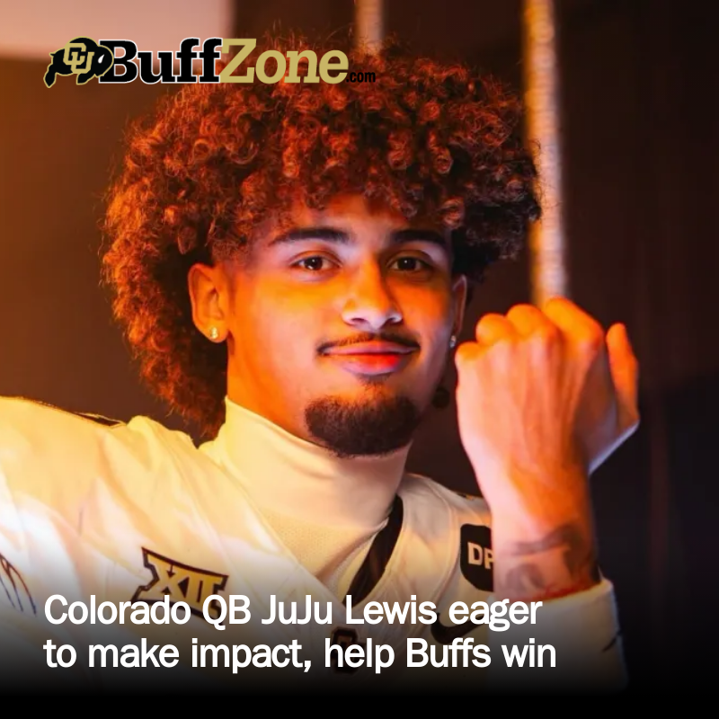Buffzone tweet media