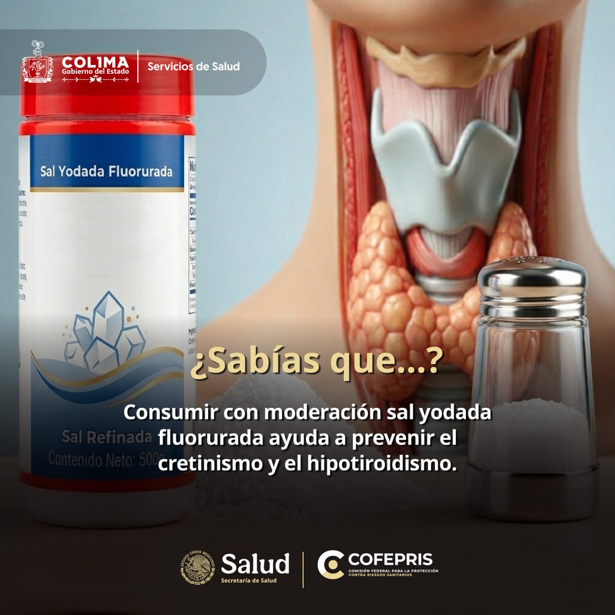 COESPRIScolima's tweet photo. ¡Protege tu salud con un pequeño cambio! 🧂✨ El consumo moderado de sal yodada es clave para prevenir enfermedades como el bocio, cretinismo y el hipotiroidismo. ¡No olvides buscar la franja roja que identifica a la sal yodada.! 🛡️👪
#SalEsencial #ConsumoResponsable #COFEPRIS https://t.co/8KSTQPFrAu