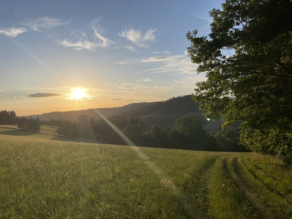 Noblnoch tweet picture