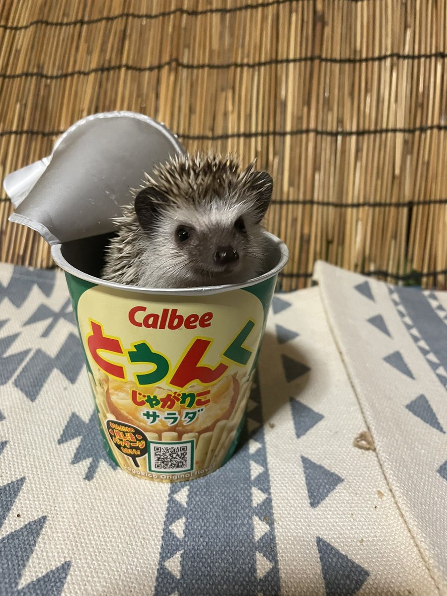 もーにん☀️☺️🍹