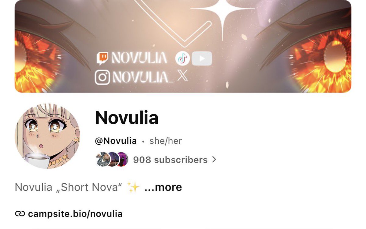 Novulia_'s tweet photo. Ich wollte nur kurz vorm schlafen alles abchecken aber… 900 auf YT?? Omg!! Ich lieb euch :3 https://t.co/yINyF1SkzS