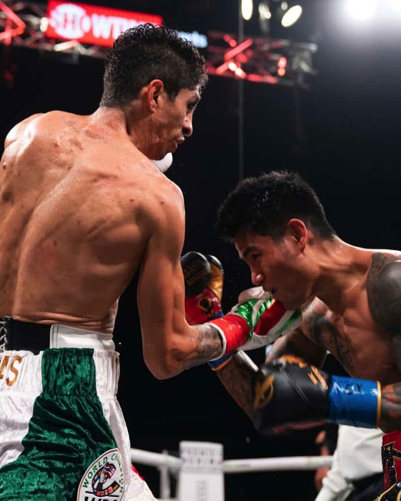 World Boxing Council tweet media