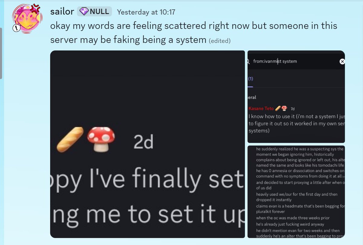 deadacc0103's tweet photo. WHY SAILOR LEFT: Sailor has been claiming the team has been ableist towards it , what happened is Sailor fakeclaimed a 15 year old system &amp; we told it that this behavior is unprofessional. Sailor then left &amp; made posts calling us ableist. (1/14 https://t.co/vqdeM5tlFK
