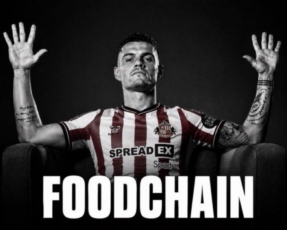 Madoc 🔴⚪️ tweet media